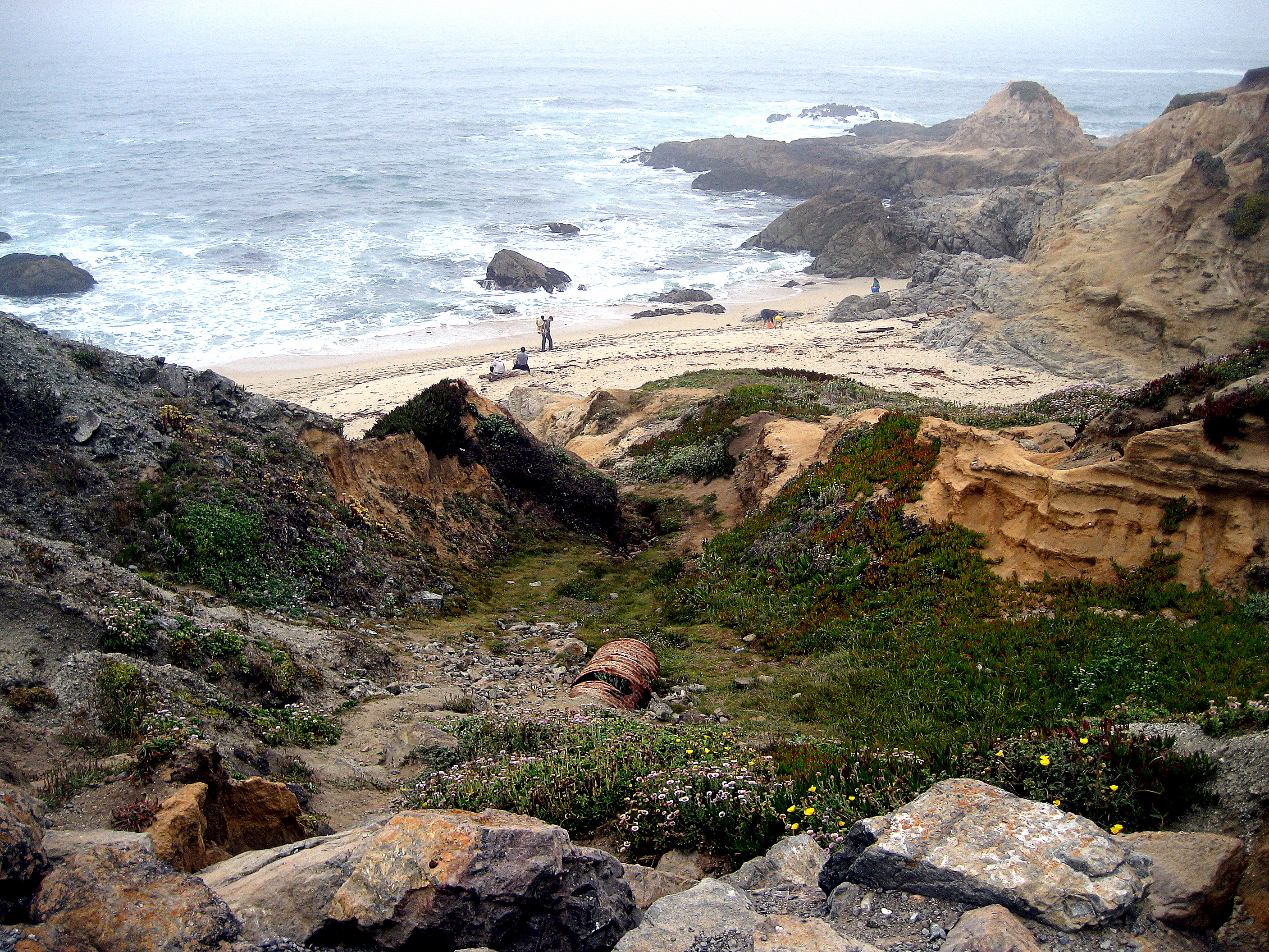 Northern California Coast by Suzi Rosenberg