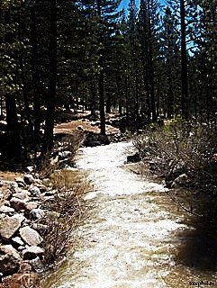 Alpine County campground stream; Photo courtesy of steephill.tv Contact: info@steephill.tv