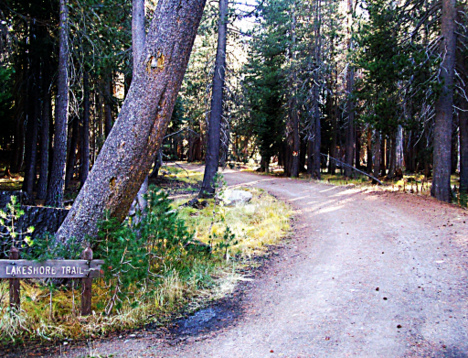 The Road to Inspiration Point; CC Matthew Lee High
