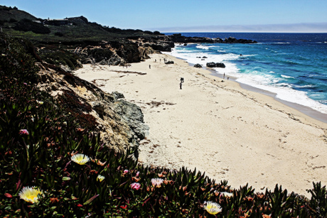 Big Sur Garrapata Beach; CC Marie