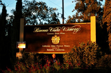 Buena Vista Winery Sign CC John Philip Green
