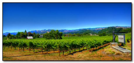 California Wine Country; Napa Winery; CC Roger Lynn