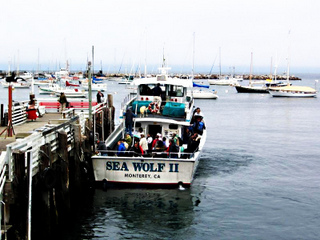 Commercial Whale Watching Boat CC Rictor Norton and David Allen