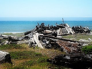 Driftwood Shelter Lost Coast CC K. Castl