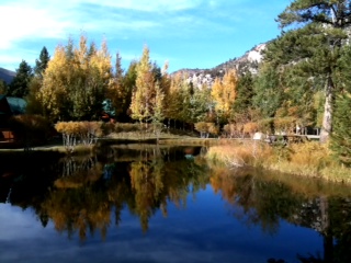 Pond at Double Eagle Lodge