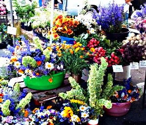Farmers Market Flowers; CC Dixon Davis