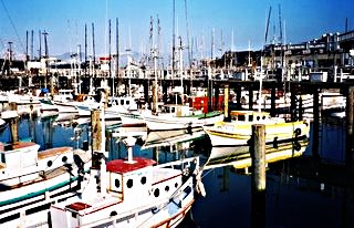 SF Fishing Fleet; CC Mike