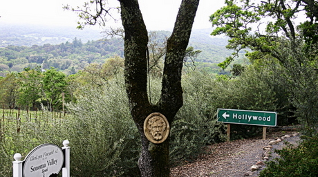 Glen Lyon in Glen Ellen by Suzi Rosenberg