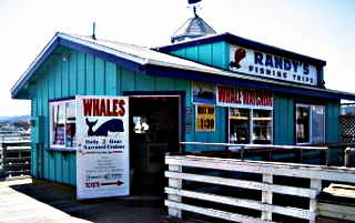 Randy's Whale Watching Trips are Great, and<br>Are Cheaper than Some Others