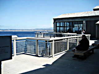 Or Outside the Monterey Bay Aquarium, <br>Overlooking the Bay