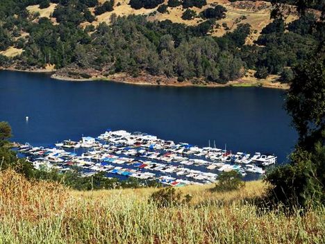 Lake Sonoma by Meghan Malloy