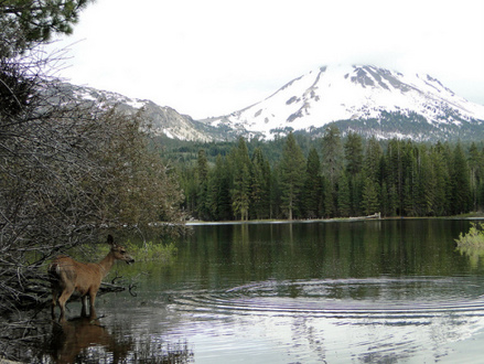 Lassen Volcanic National Park; CC Amy Meredith