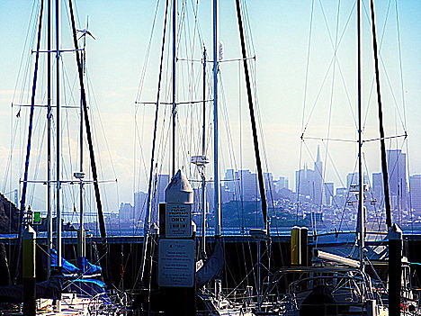 View of The City from Sam's patio; by Suzi Rosenberg