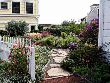 Mendocino Village Garden; CC Lee Coursey