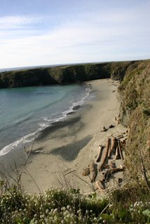 Beach and Driftwood from Mendocino Headlands by Wolf Rosenberg