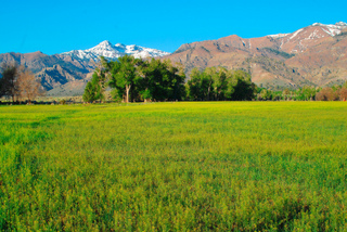 Warner Mountains; CC calwest