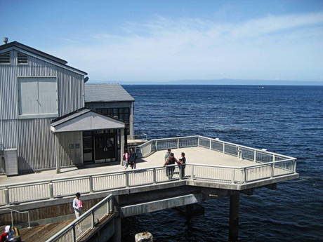 Monterey Bay Aquarium by Suzi Rosenberg