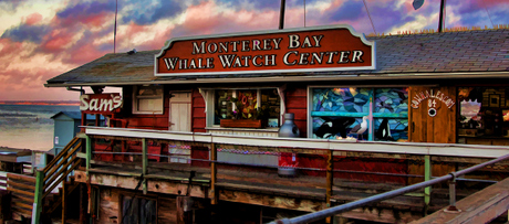 Monterey Bay Center; CC will9516