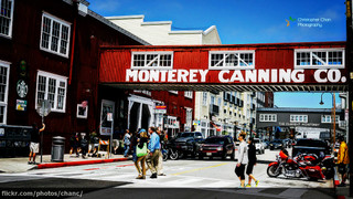 Cannery Row by Suzi Rosenberg