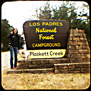 Plaskett Creek Campground Sign; CC Paul Lovine