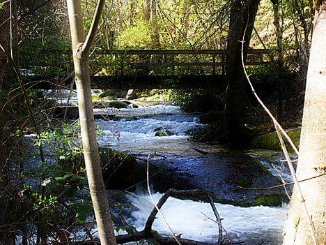 Foot Bridge over Ashland Creek