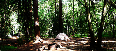 Pfeiffer Big Sur Campground CC Andrew Hall