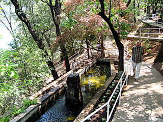 The Walk down to the Boat Landing at Lake Shasta Caversn