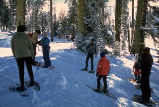 Snowshowing in Yosemite