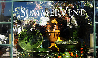 Sonoma Plaza Shop Summer Vine CC Suzi Rosenberg