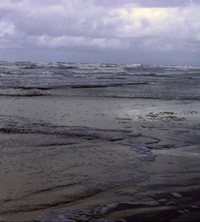 Lost Coast Ocean