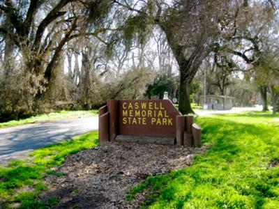 Caswell Memorial State Park gives an idea of the San Joaquin River landscape in the 1800s