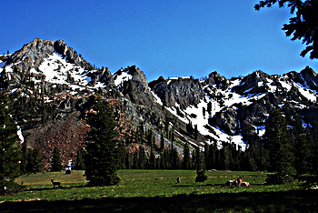 Mountains, Meadow, & Deer; CC Robert Nagy