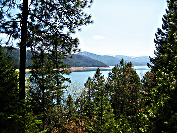 The Lake through the Trees; CC Cinden