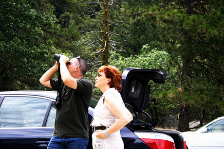 Typical Tourists Checking out Yosemite Rock Climbers by Wolf Rosenberg