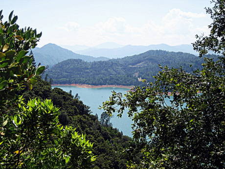 Lake Shasta by Suzi Rosenberg