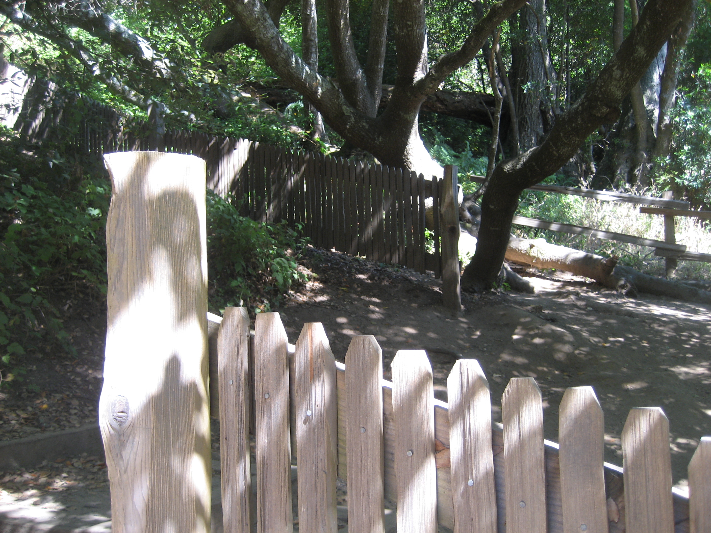 This Bear Valley fence spit and jumped 16 feet apart during the 1906 Earthquake!
