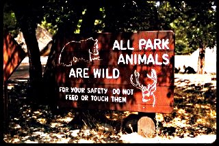 "All Park Animals are Wild" Sign; Photo Courtesy of nps.gov