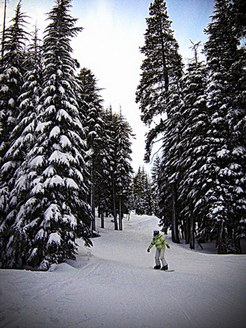 Alpine Meadows CC Logan Sakai