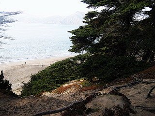 Baker Beach in San Francisco by Suzi Rosenberg
