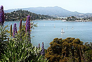 Belvedere Tiburon; CC Colleen Proppe