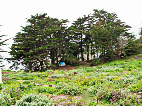 Big Sur Eco Campground; CC Kelly Joyner