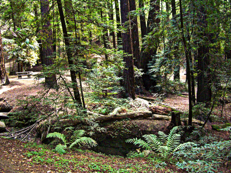 Big Sur Ventana Campground 640