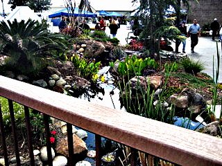 Landscape at the Home and Garden Show by Suzi Rosenberg