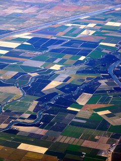 Sacramento Valley Farmland CC MM