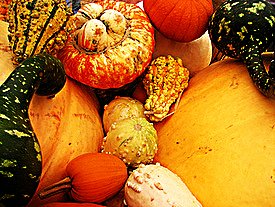 Pumpkin Festival Gourds; CC Greg