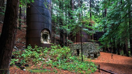 Limekiln State Park; CC Chris D 2006