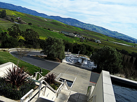 Napa's Artesa Winery View by Wolf Rosenberg