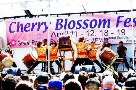 NorCal Cherry Blossom Fest; CC David Yu