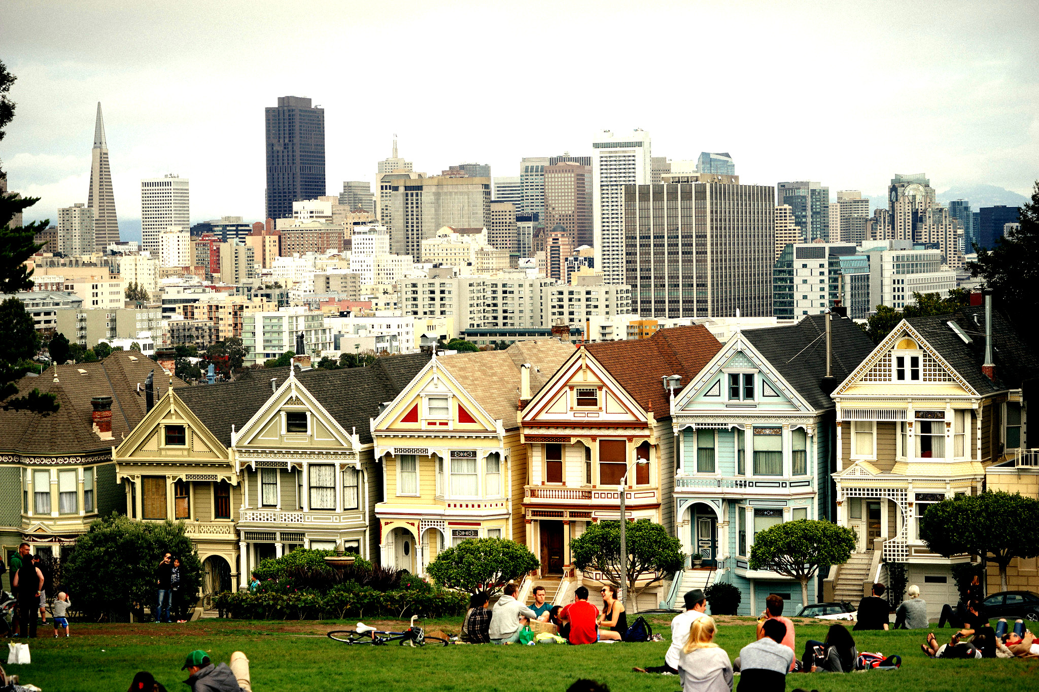 Painted Ladies SF cc Jeffrey Zeldman