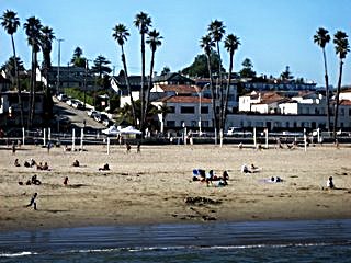 Santa Cruz Beach by Suzi Rosenberg